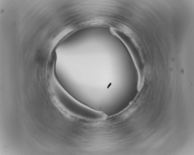 X0000070361426200607072052