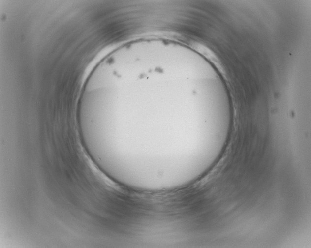 X0000070361428200607072052