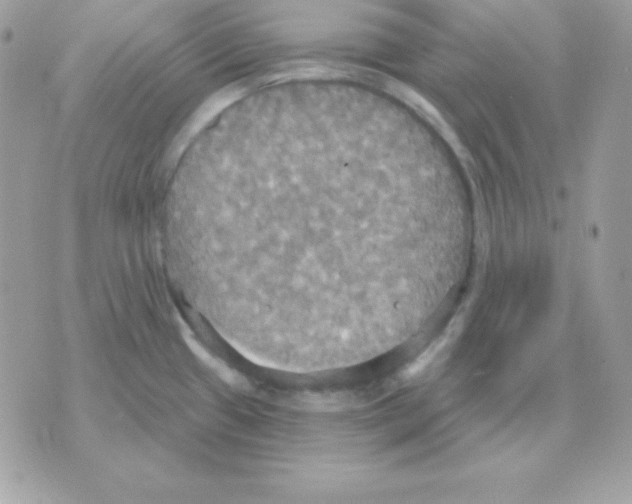 X0000070361433200607072052