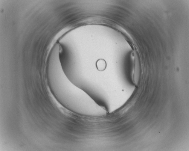 X0000070361434200607072052