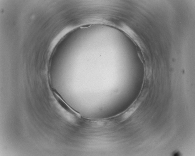 X0000070361438200607072052