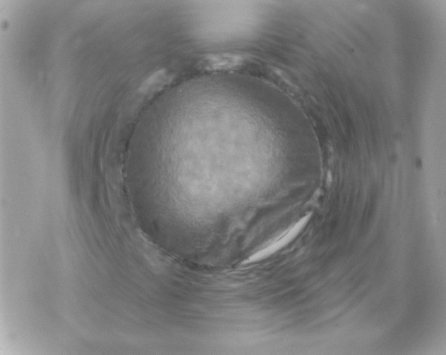 X0000070361441200607072051