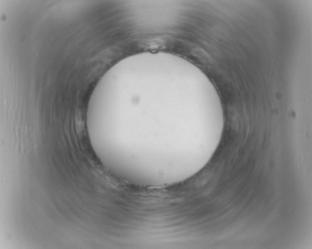 X0000070361442200607072051