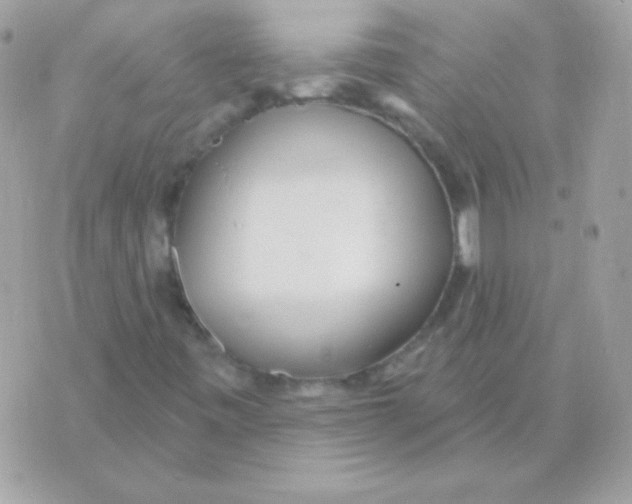 X0000070361443200607072051