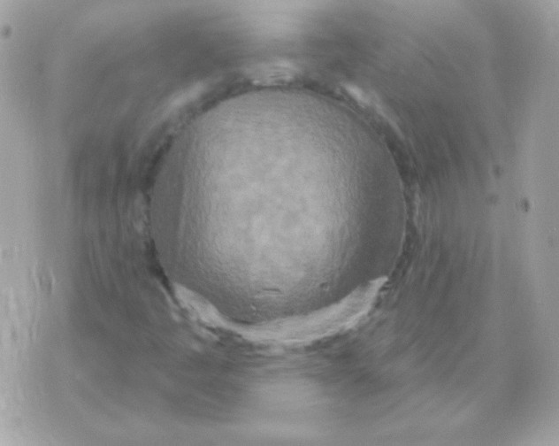 X0000070361445200607072051