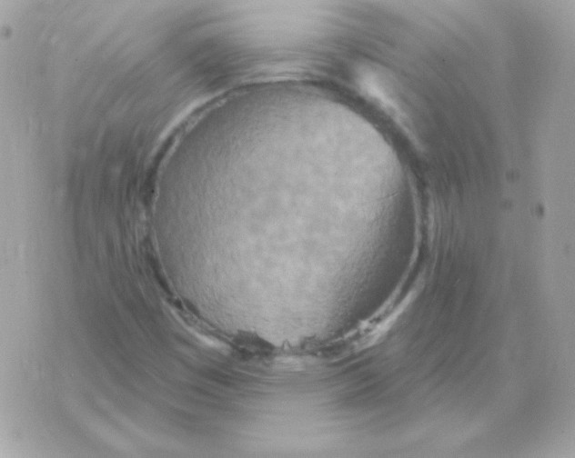 X0000070361449200607072051