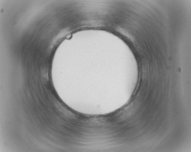 X0000070361451200607072051