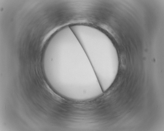 X0000070361452200607072051