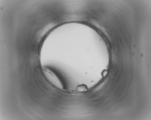 X0000070361453200607072051