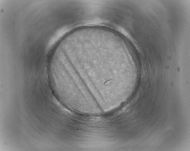 X0000070361456200607072051