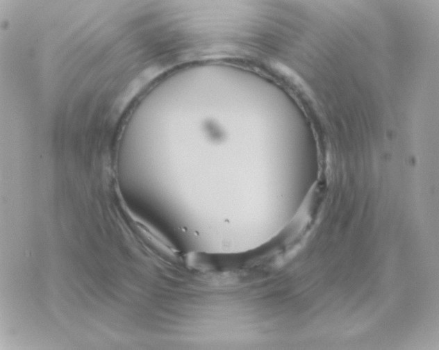 X0000070361457200607072051