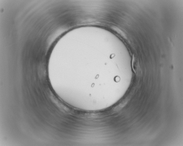 X0000070361458200607072051