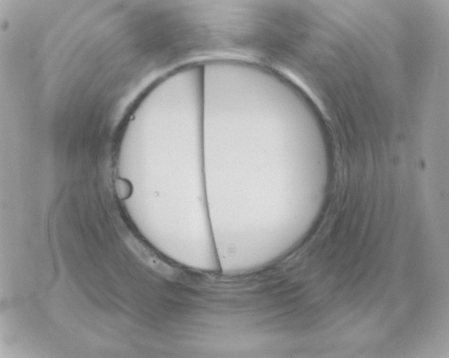 X0000070361460200607072051