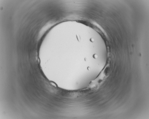 X0000070361461200607072051