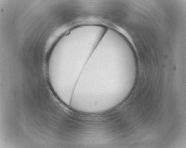 X0000070361464200607072051