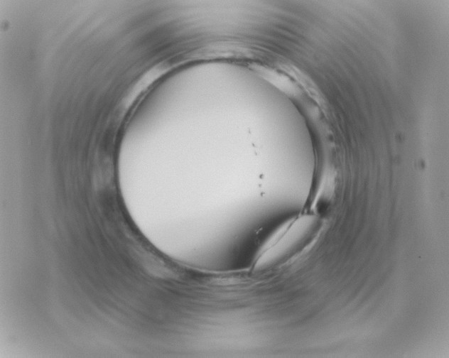 X0000070361465200607072051