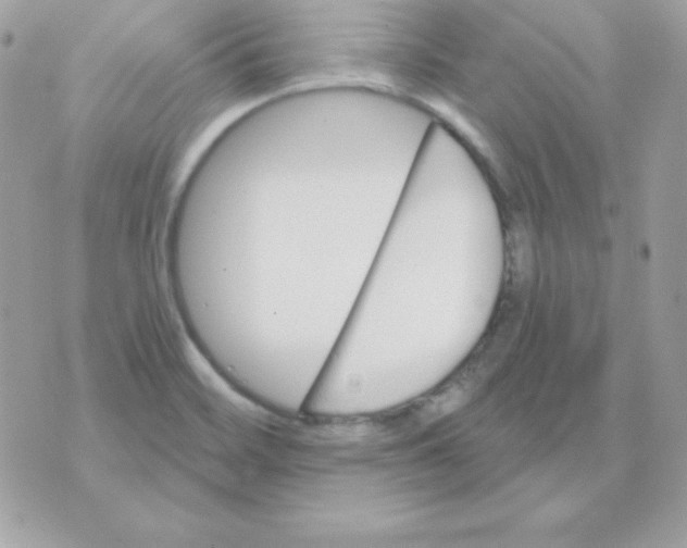 X0000070361468200607072051