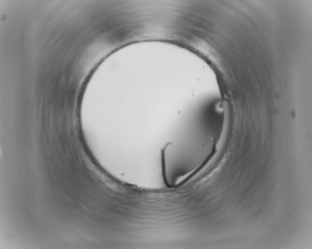 X0000070361469200607072051