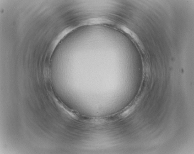 X0000070361473200607072051