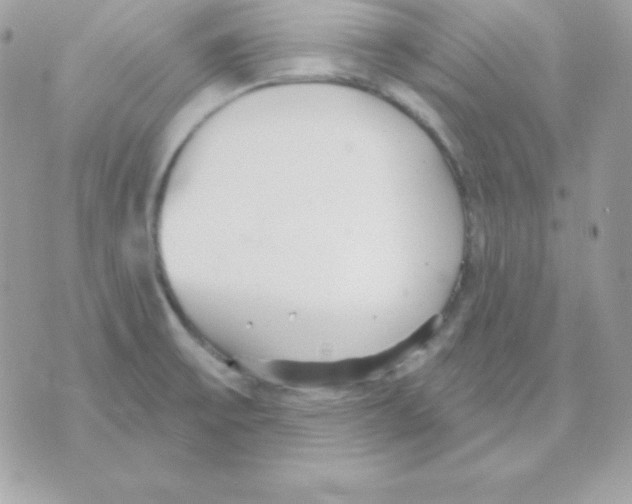 X0000070361475200607072051