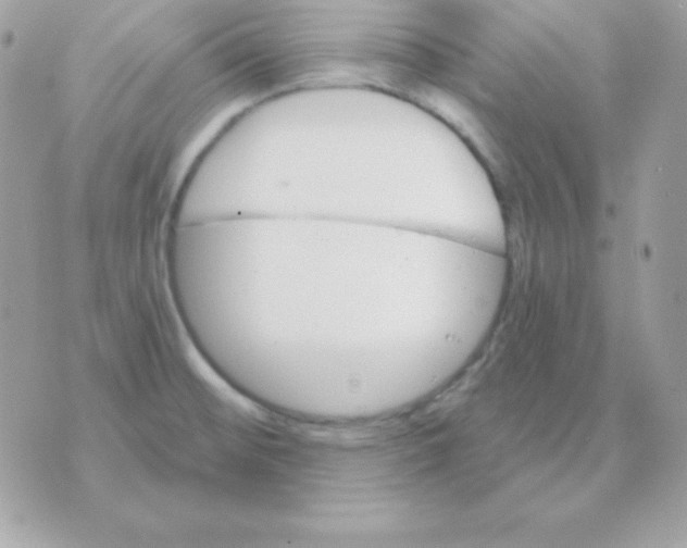 X0000070361476200607072051