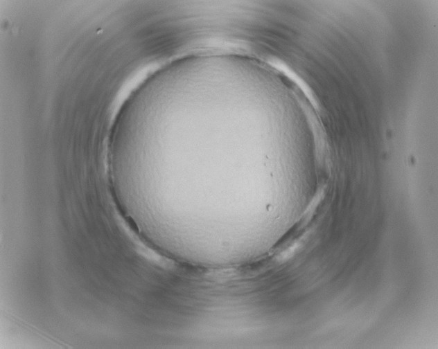 X0000070361477200607072051