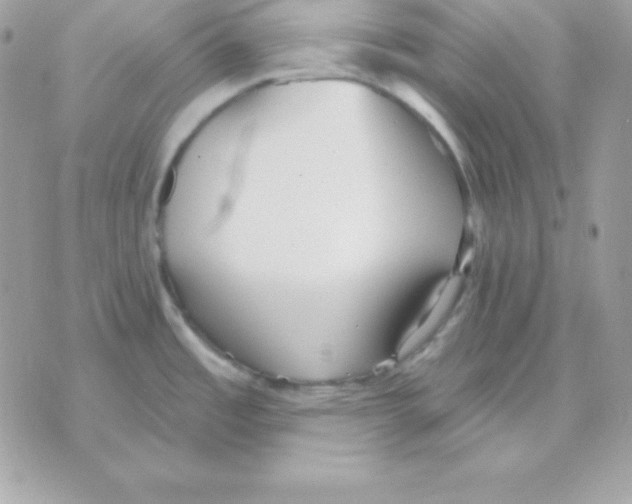 X0000070361485200607072051