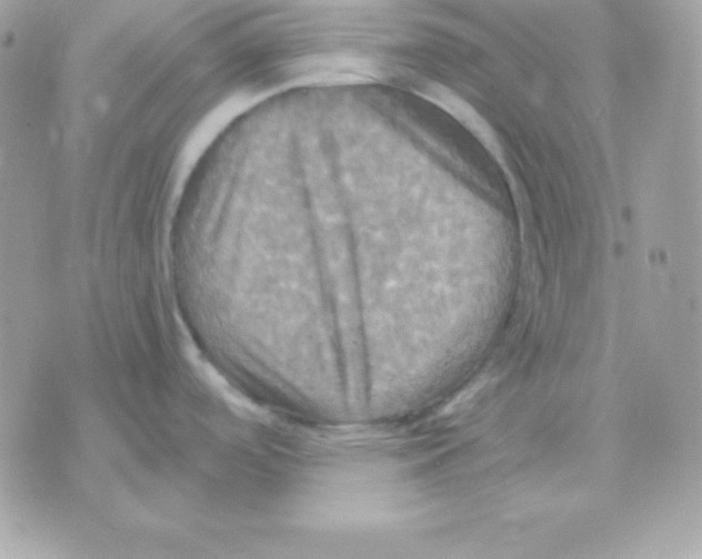 X0000070361488200607072050