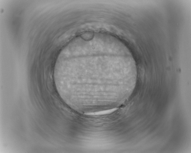 X0000070361489200607072050