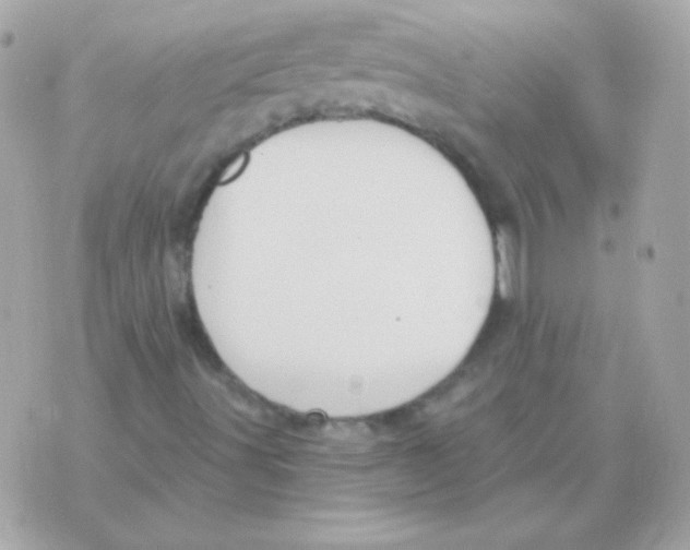 X0000070361491200607072050