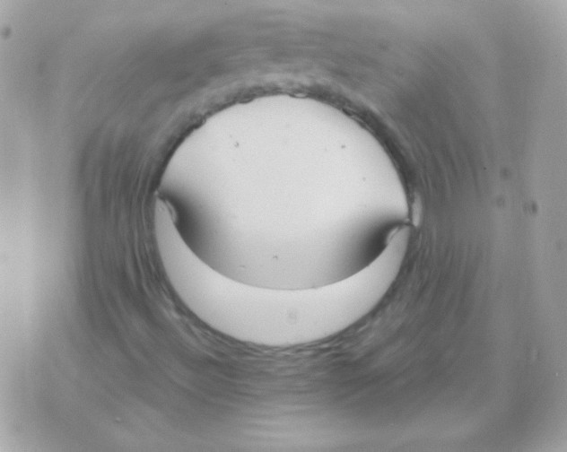 X0000070361492200607072050