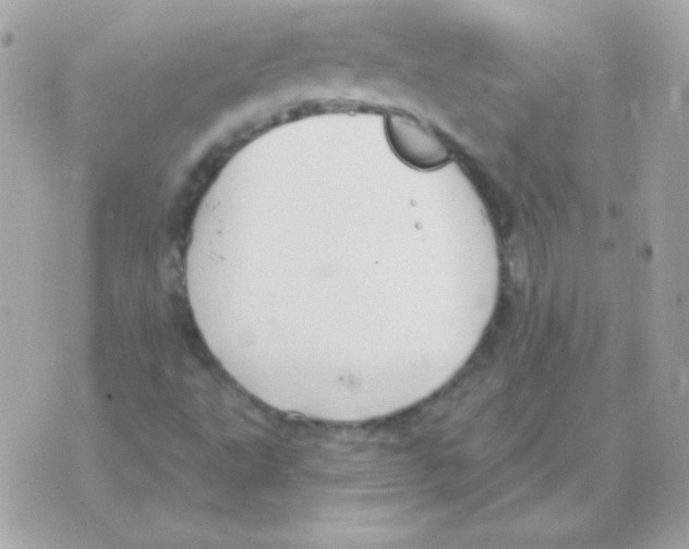 X0000070361495200607072050