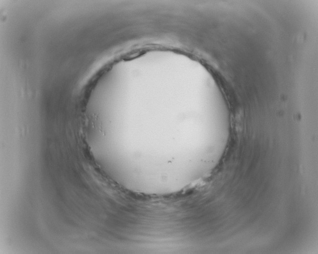 X0000070361496200607072050