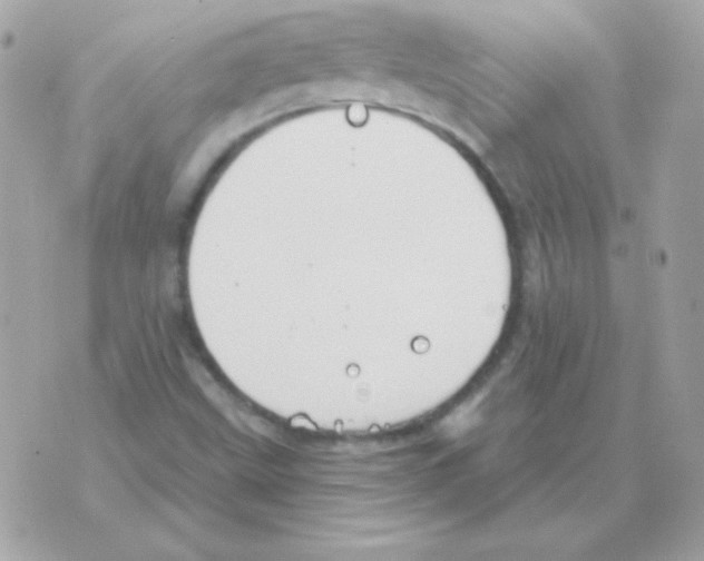 X0000070361499200607072050