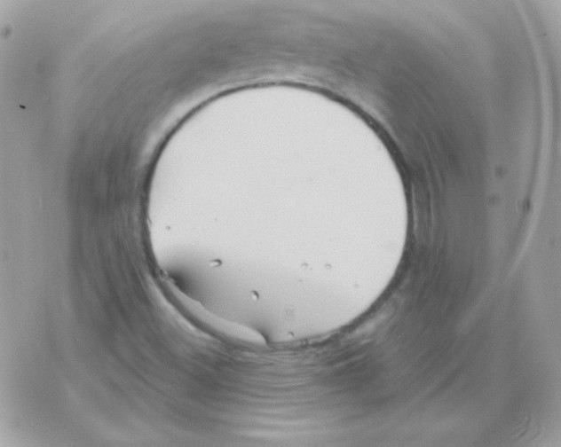 X0000070361500200607072050