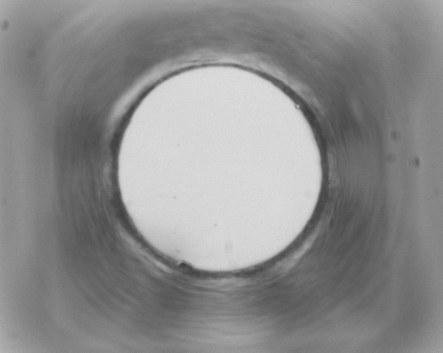 X0000070361502200607072050