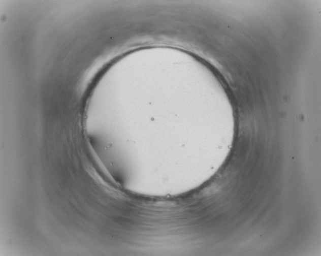 X0000070361503200607072050