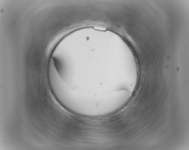 X0000070361504200607072050