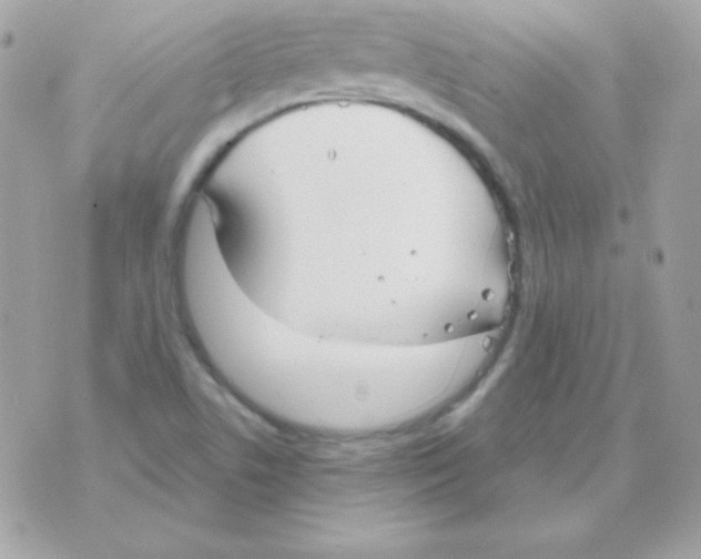 X0000070361506200607072050