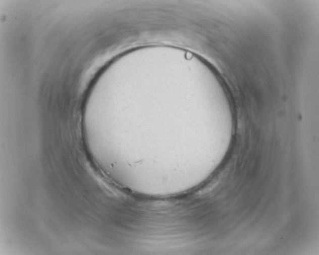 X0000070361507200607072050