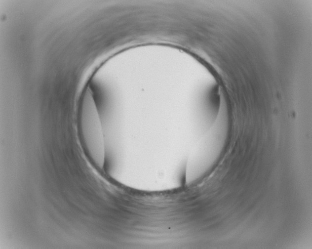 X0000070361508200607072050