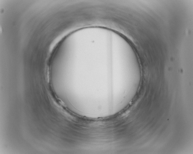 X0000070361510200607072050