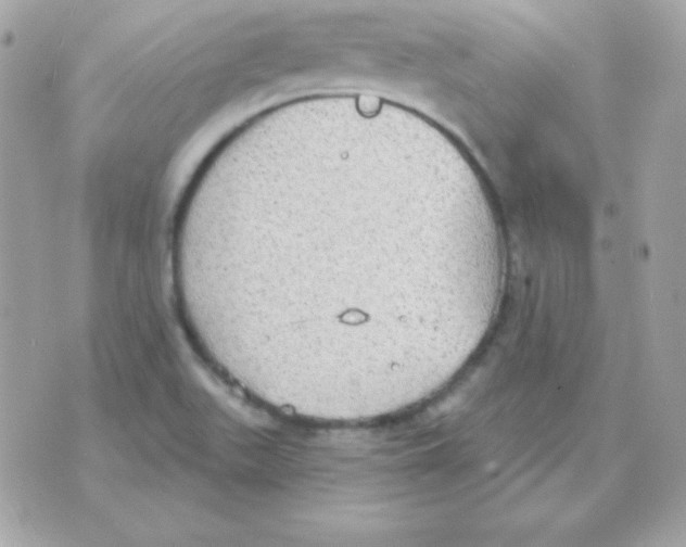 X0000070361511200607072050