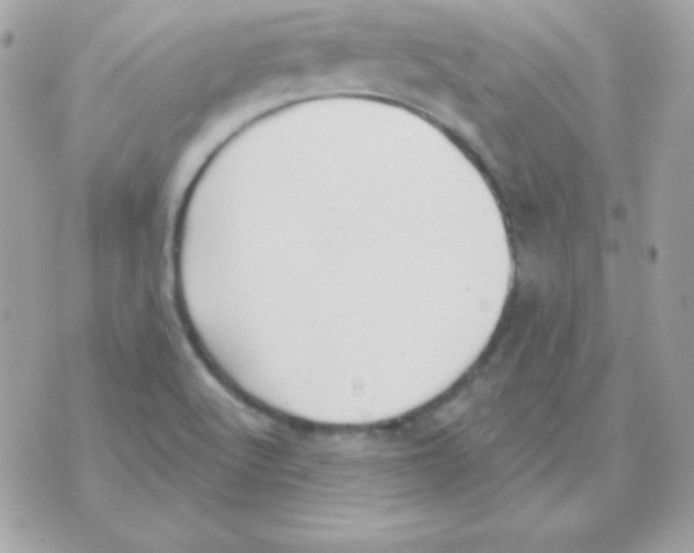 X0000070361512200607072050