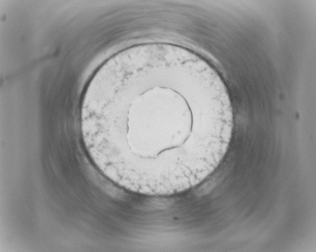 X0000070361514200607072050