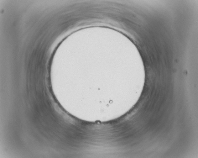 X0000070361518200607072050