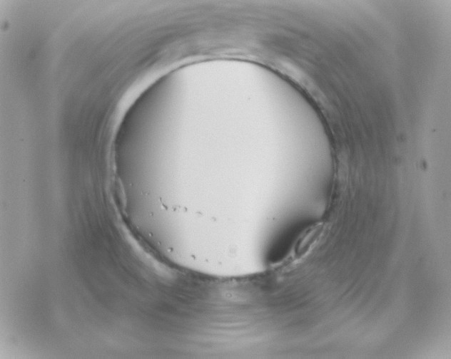 X0000070361520200607072050