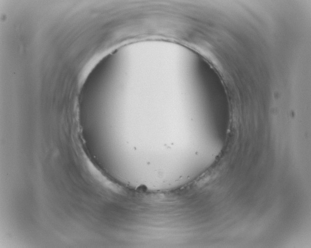 X0000070361524200607072050