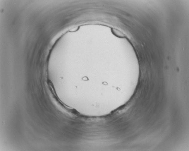 X0000070361526200607072050