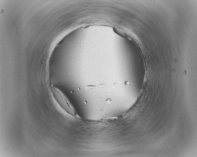 X0000070361528200607072050